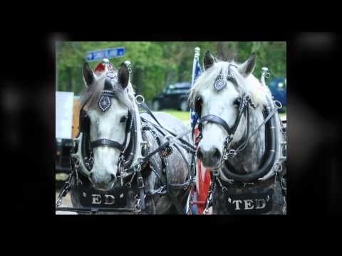 2011 Memorial Day Parade, Exeter, Rhode Island