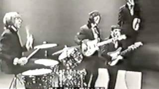 Beau Brummels - "Just a Little" - Shindig