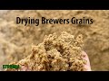 Drying Brewer’s Grains with Stronga FlowDrya