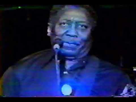 Muddy Waters & Johnny Winter   The Newport Jazz Festival at Saratoga