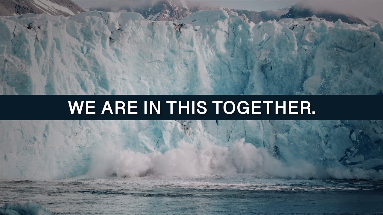 Together. One Tree at a Time. | One Tree Planted - YouTube
