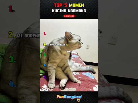 Top 5 Momen Kucing Ngomong 😅😂