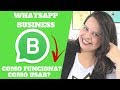 🔴 WHATSAPP BUSINESS Como Funciona? Como Usar? | Kerlia Souza