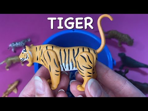 Spots and Stripes - Sea and Jungle Animals - Learn Animal Names for Toddlers - Educational and Fun