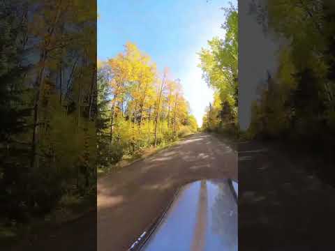 Prince Albert National Park Fall Scenic Drive