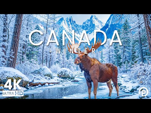 Canada in Winter 4K UHD ❄️ Most Beautiful Places in the Snowy Wilderness