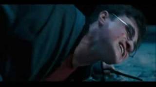 Harry Potter - Zydrate Anatomy