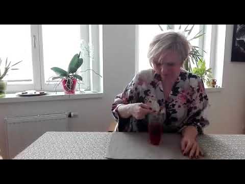 Kniha Moucha v limonádě