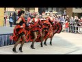 Can Can Dance