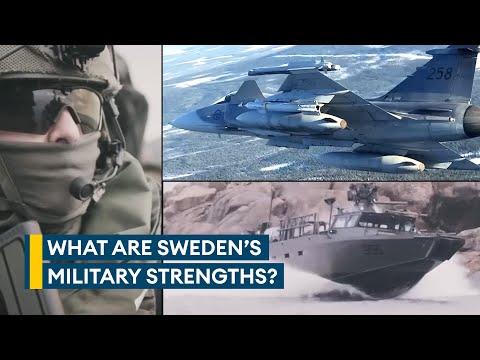 Nato's newest member Sweden packs a small but powerful military punch