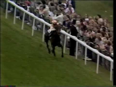 The History Of Epsom Derby UK (Thoroughbreds) 2/2