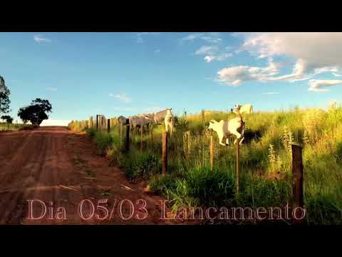 LANÇAMENTO NOVO ÁLBUM - ARNALDO FREITAS