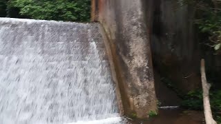 preview picture of video 'BERBURU TUMBUHAN AQUASCAPE DI BENDUNGAN AIR TERJUN DATAR LEBAR'