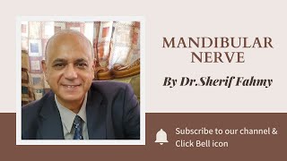 Dr. Sherif Fahmy - Mandibular nerve