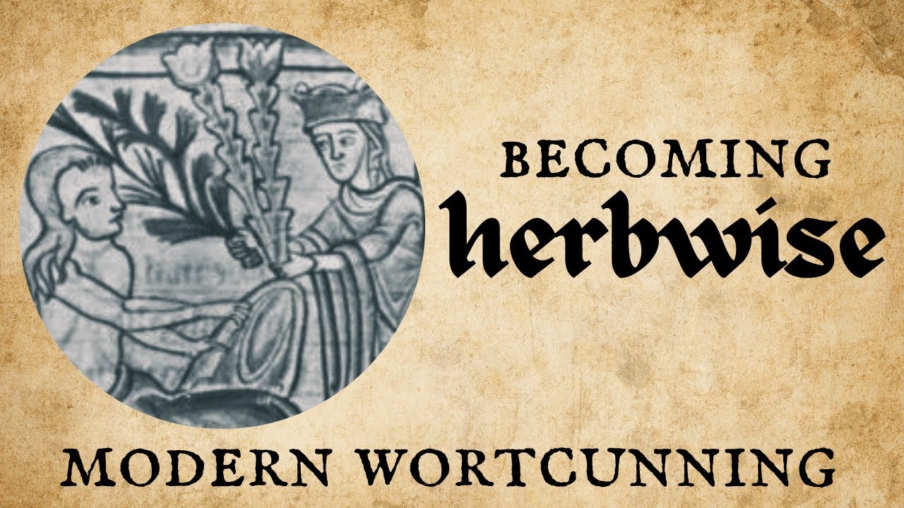 Becoming Herbwise | The Path of Modern Wortcunning