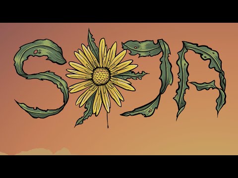 SOJA - Things You Can't Control (Official Lyric Video)
