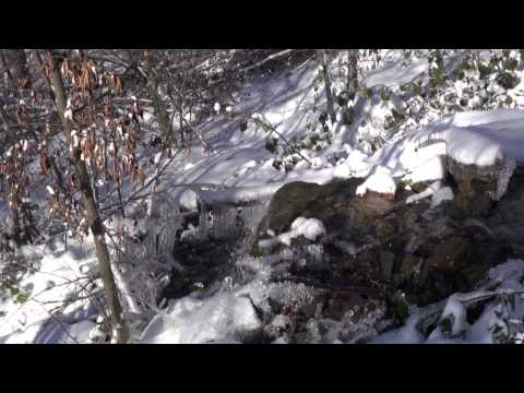 Seminari i parë dimëror | Dhjetor 2014