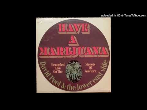 David Peel & The Lower East Side ‎– Have A Marijuana   1968