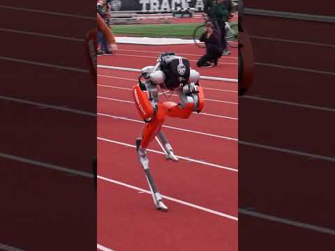 Fastest 100 meters by a bipedal robot - 24.73 seconds ????