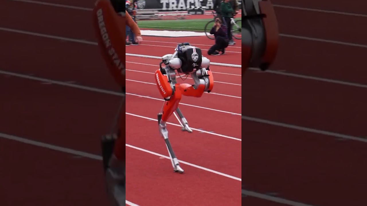 Fastest 100 meters by a bipedal robot - 24.73 seconds 🤖