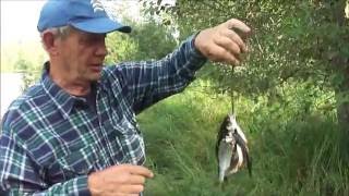 Отдых и рыбалка на озерах калининградской области