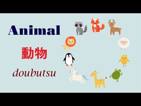 Basic Japanese Vocabulary Animals