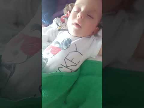 Spavanjac i buđenje 9 7 2024