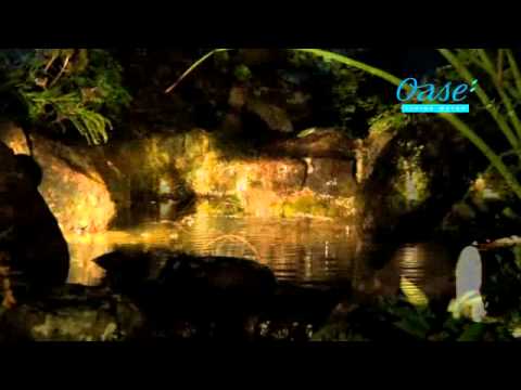 Watch Video on YouTube