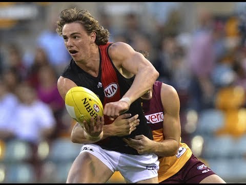 BTV: Daniher on the half volley
