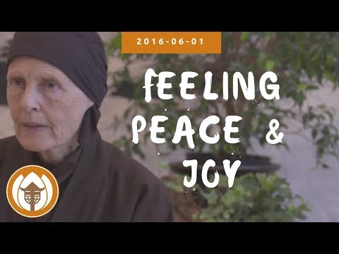 Feeling Peace & Joy | Dharma Talk by Sister Annabel Laity, 2016.06.01