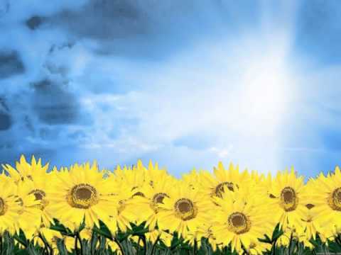 GIANLUCA SIBALDI- LA LETTERA