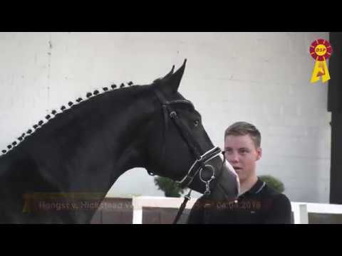 KN 22: Hickstead White x Captain Fire