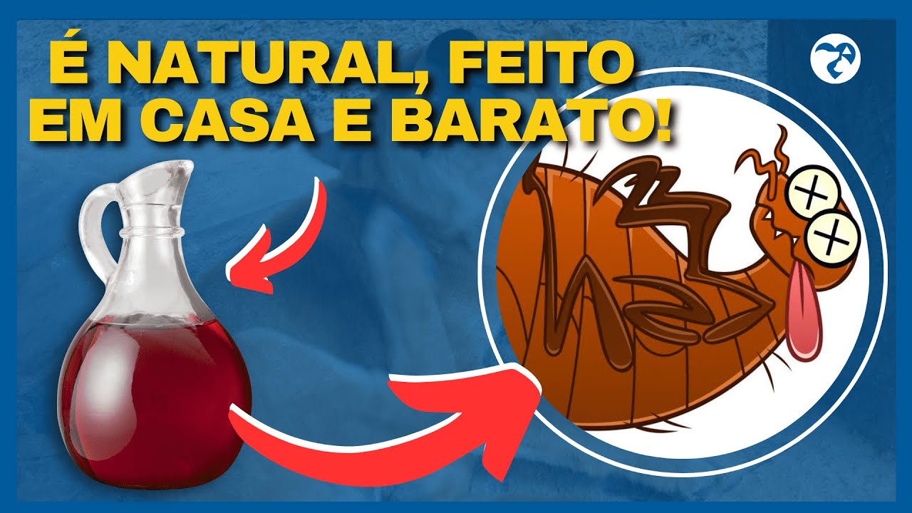Anti Pulgas e Carrapato Com Apenas UM INGREDIENTE E SUPER BARATO! ACABE Com as Pulgas do seu Pet!
