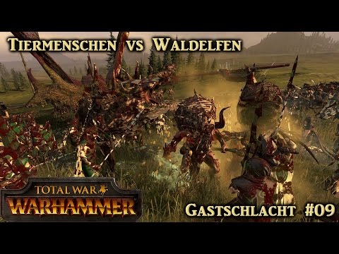 Morghur der Unerschütterliche - Gastschlacht #09 von Gajeel - Total War: Warhammer