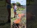 🪵 STUMP removal #flamethrower