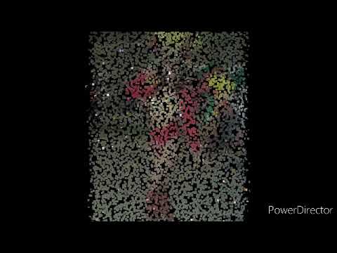 7 de febrero de 2020