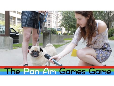 The Pan Am Games Game: 2015