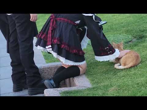 SHANGHAI SUARE PARK @ SHAMIM AHMED-W71 