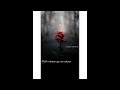 Main Rahoon Ya Na Rahoon WhatsApp Status Sad Love Status Lifeline 143