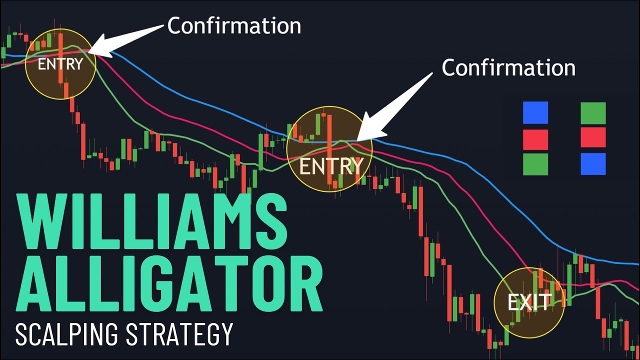 Live BTC/USD Scalping Using Williams Alligator Strategy | Step-by-Step Strategy Breakdown