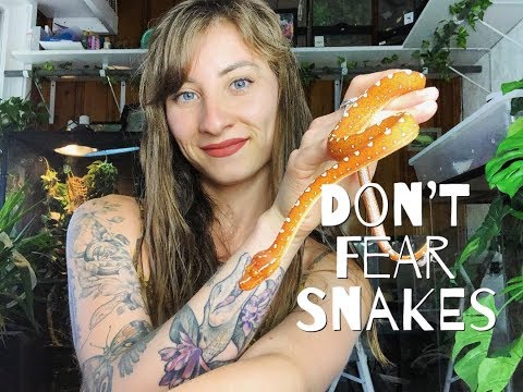 Why You Shouldn’t Fear Snakes
