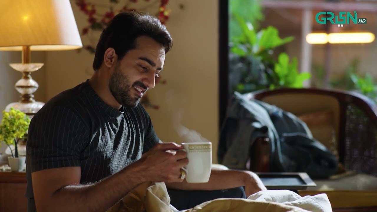 Aik Bhool Episode 48 | Best Scene 02 | Green TV Entertainment