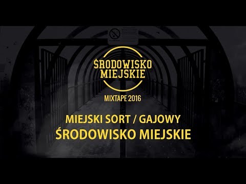 MIEJSKI SORT / GAJOWY - ŚRODOWISKO MIEJSKIE // PROD. CZAHA (Audio)