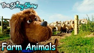 The Shiny Show  Farm Animals  S1E9