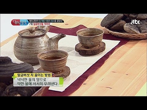 말굽버섯이 효능의 비밀
