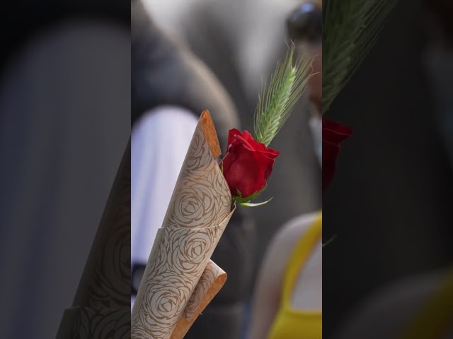 Vídeo relacionado con Simboliks Colgante Rosa de Sant Jordi, Diada Catalunya, día enamorados, pendientes flores, Regalo mama, Regalo día madre, Llegenda Sant Jordi, Regalar Rosa, Princesa, Acero
