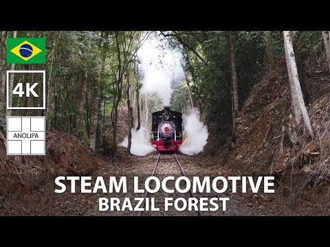 STEAM TRAIN LOCOMOTIVE • Trem Maria Fumaça in the Tropical forest • Steam Train in Brazil 🇧🇷【4K】
