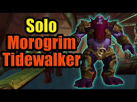 Solo Morogrim Tidewalker Prot Paladin - WotLK Classic