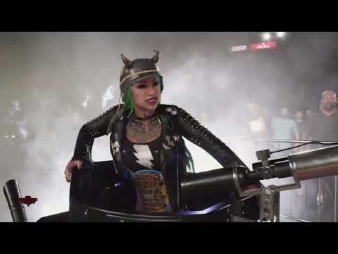 RONDA ROUSEY AND STACY KEIBLER VS SHOTZI AND TEGAN NOX