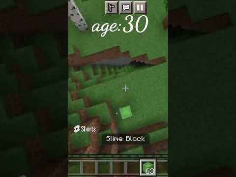 Unbelievable MLG Minecraft gameplay ages 13, 50, and 90!!